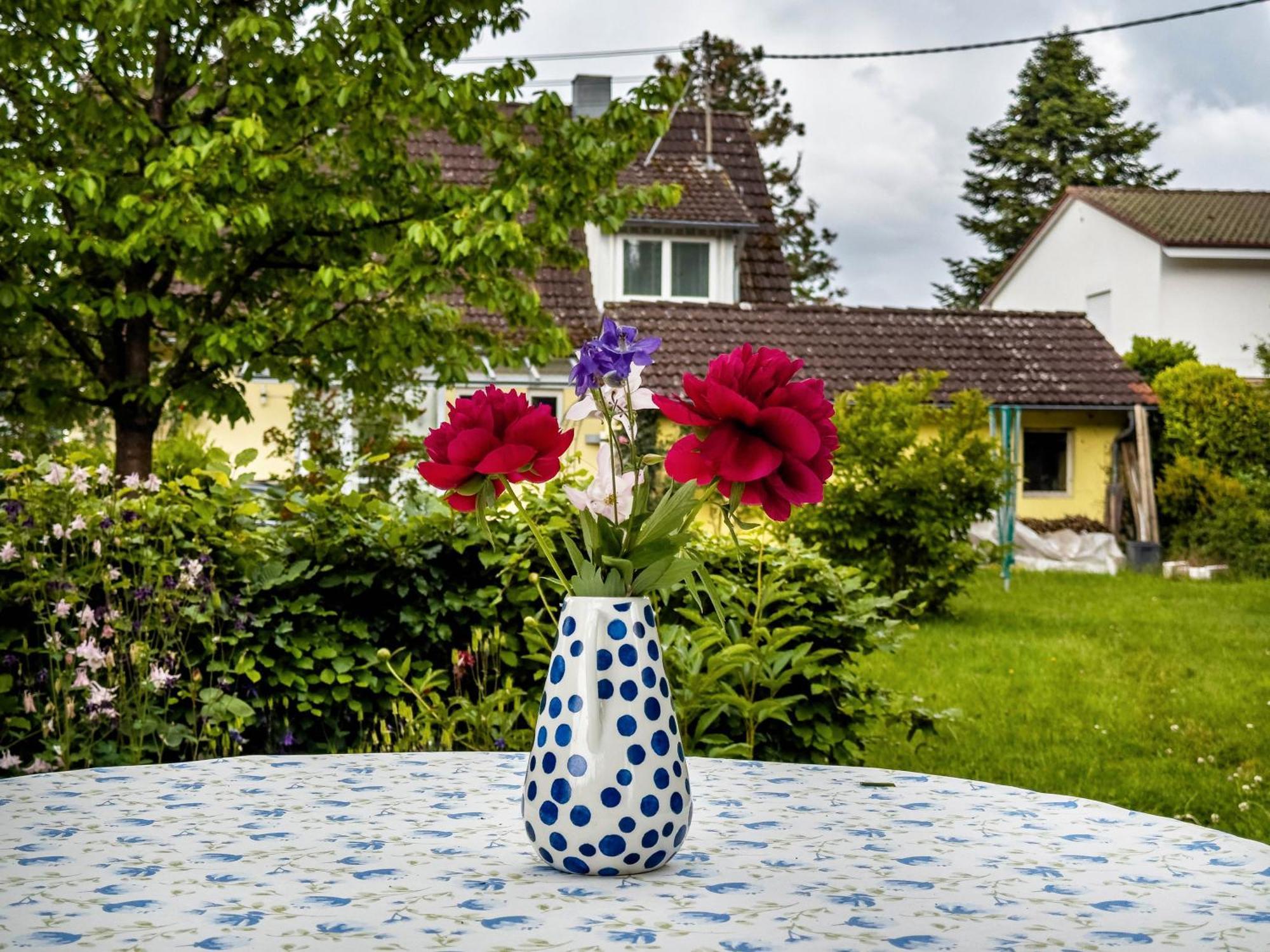 Gaestezimmer Cleo Ульдінген-Мюльгофен Екстер'єр фото